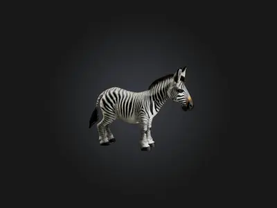 Realistic Zebra Model Low-poly 3D model