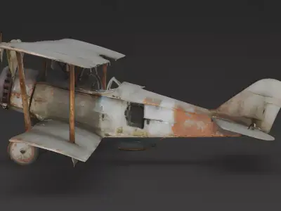 Realistic Wrecked Vintage Biplane 3D Model Low-poly 3D model