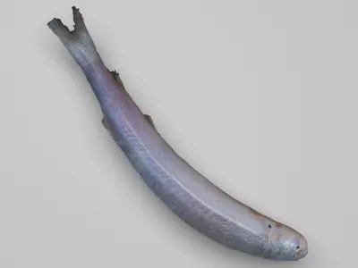 Carrion Fish 3D model
