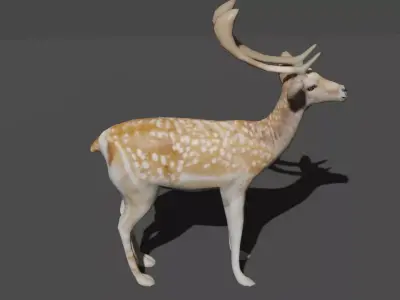AXIS DEER LOWPOLY Low-poly 3D model