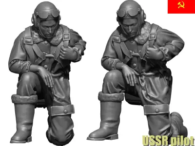 Soviet Pilot 3D print model