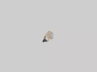 Coyote Tail Low-poly 3D model