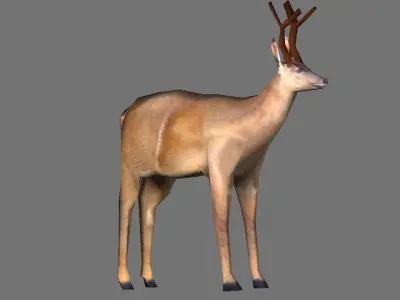 Brown Deer Low Poly Low-poly 3D model