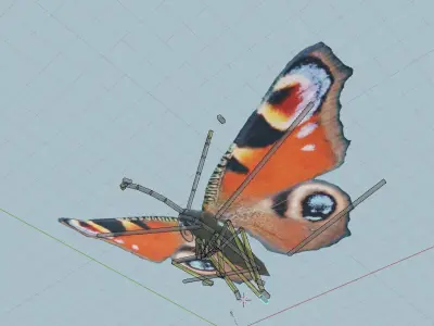 Peacock Butterfly 3D model