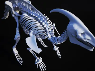 Dinosaur bone 3D model 3D model