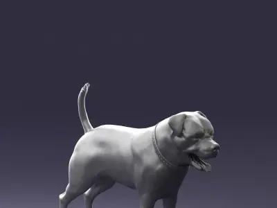 Black dog breed rottweiler 0160 3D model