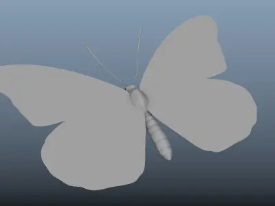 Butterfly with texture 3D model