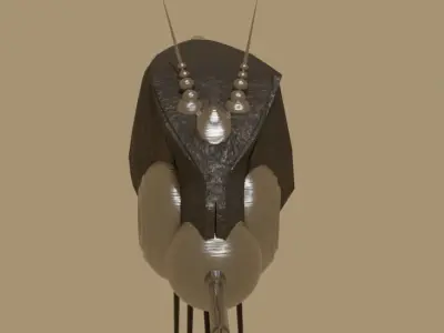 Dune Hunter Seeker Low-poly 3D model