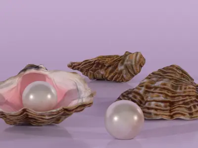  Pearl in Colored Shell 