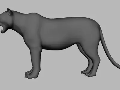 Tiger Topology Uv Map Free 3D model