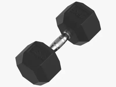 Rubber Dumbbell 25kg 3D model