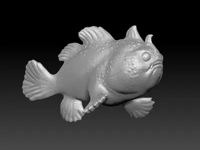 Clown Frogfish 3D model