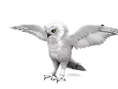 White Owl Rigged Animated Free low-poly 3D model
