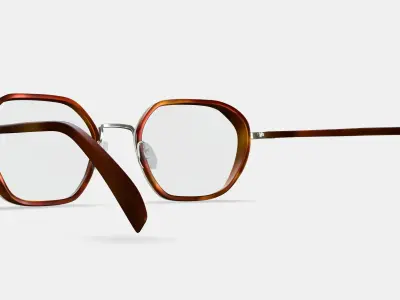 Levins Eyeglasses in Rye Tortoise Matte with Antique Silver 3D model