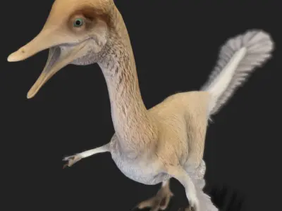 Halszkaraptor Low-poly 3D model