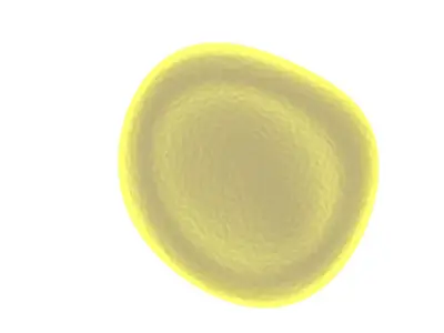 Spider Blood Cell 3D model