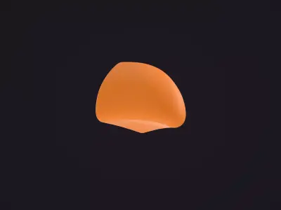 Bird Beak 3D model