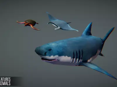 Sea Creatures Low-poly 3D model