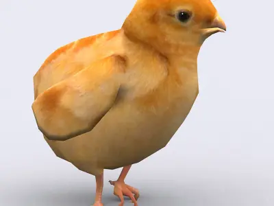 3DRT - Chick Low-poly 3D model