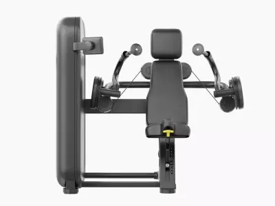 Technogym Artis Arm Extension 3D model