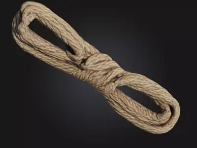 Tangled Coil  Realistic Detail of Disordered Wiring 3D model