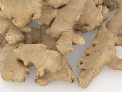 Pile Fresh Ginger Root 3D model