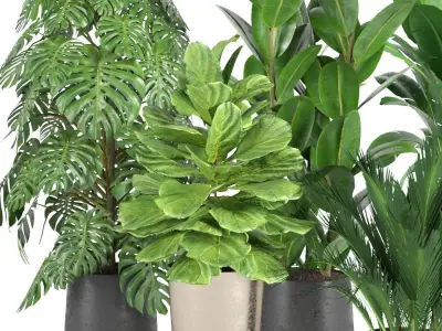 plant collection RPM 03 3D model