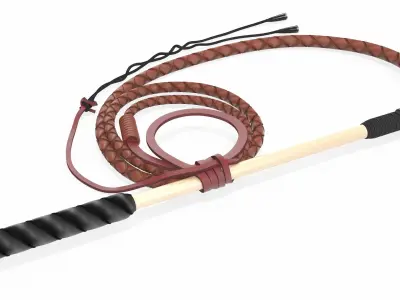 Leather Bullwhip Braided Brown 3D model