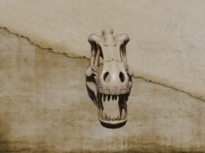 Skull T-rex Low-poly 3D model