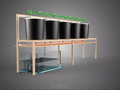 KIT BUCKET DUTCH BATO HYDROPONIC GROWING SYSTEM GARDEN PLANT DIY 3D model