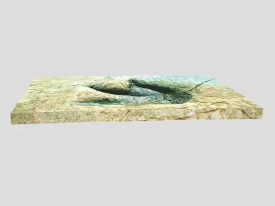 Footprint - fossil - dinosaur - 3D Printing 3D model