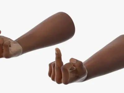 Black Male Hand Pair with Middle Finger Gesture 3D model