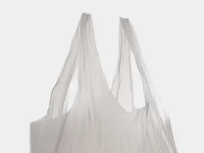 Plastic Bag 3D model