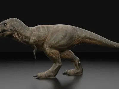 tyrannosaurus rex dinosaur 3d model  3D model