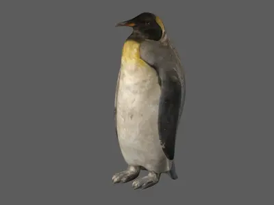 Penguin 3D model purchase