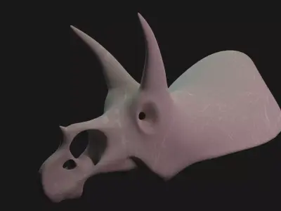 Triceratops skull 3D model