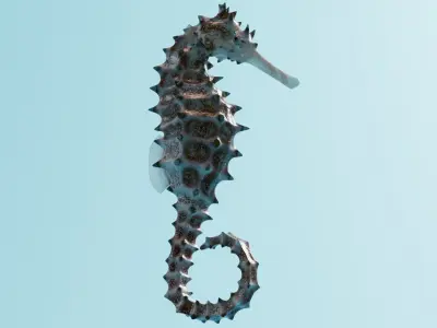 Spiny Seahorse Rigged Animated 3D model