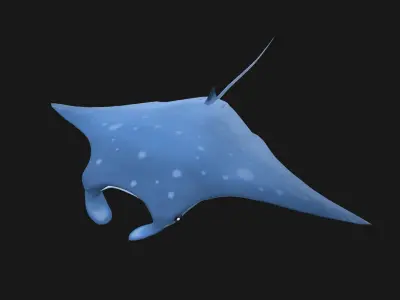 Animated manta ray 3D model