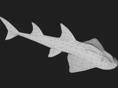 Skate Low-poly 3D model 2