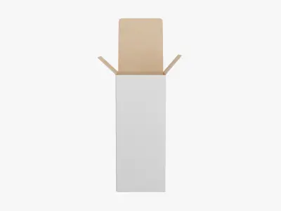 Packaging Box 5 3D model