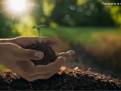  Hands Holding Seedling 