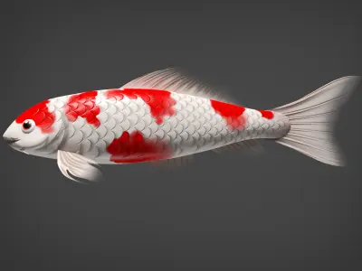 Kio fidh Low-poly 3D model