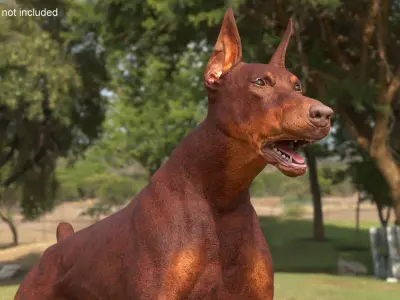 Doberman Dog Brown Running 3D model