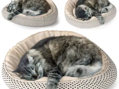 Sleeping Cat 3D model