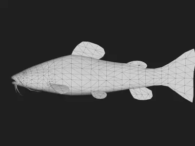 Catfish Low-poly 3D model buy