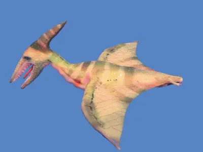 pteranodon dinosaur 3D model