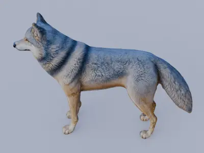 Wolf King Free 3D model