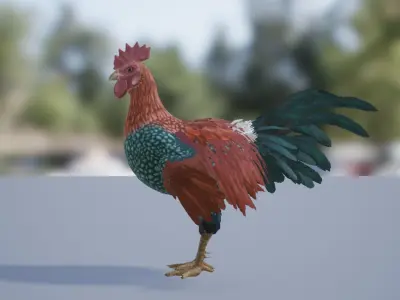 Rooster  Low-poly 3D model