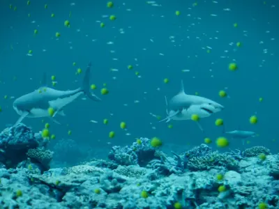 Sharks Animated Scene  Low-poly 3D model