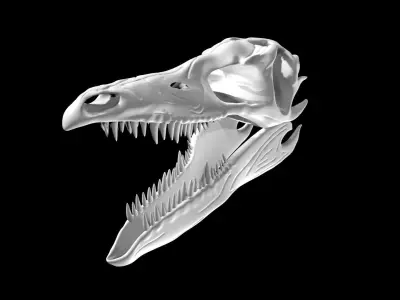 Stegosaurus skull Low-poly 3D model
